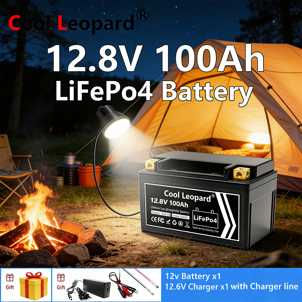 Lightweight 12V 100Ah LiFePO4  - đánh giá và giá Fish Finder Charger