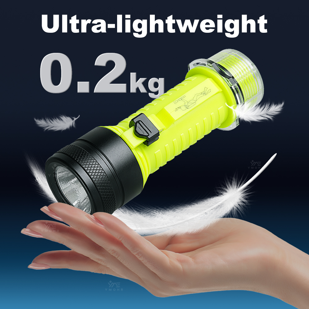 New Portable Professional LED  - đánh giá và giá Fishing Light